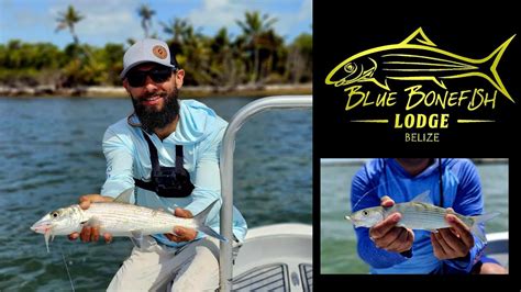 ambergris caye tarpon fishing.